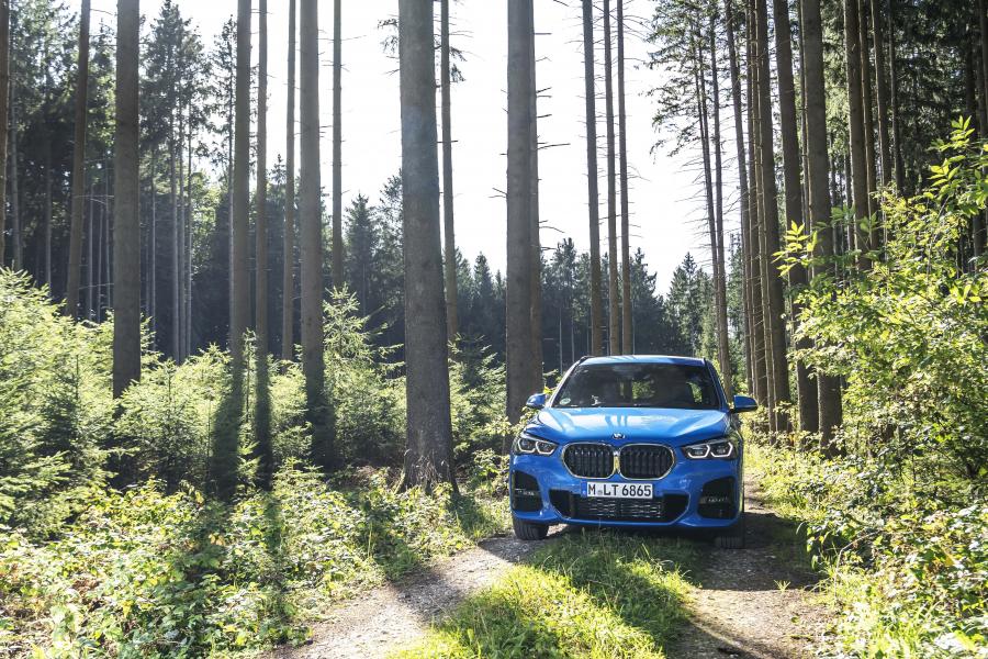  BMW X1 xDrive25i M Sport (F48) 2019 года  (WW) (фото 53 из 112)